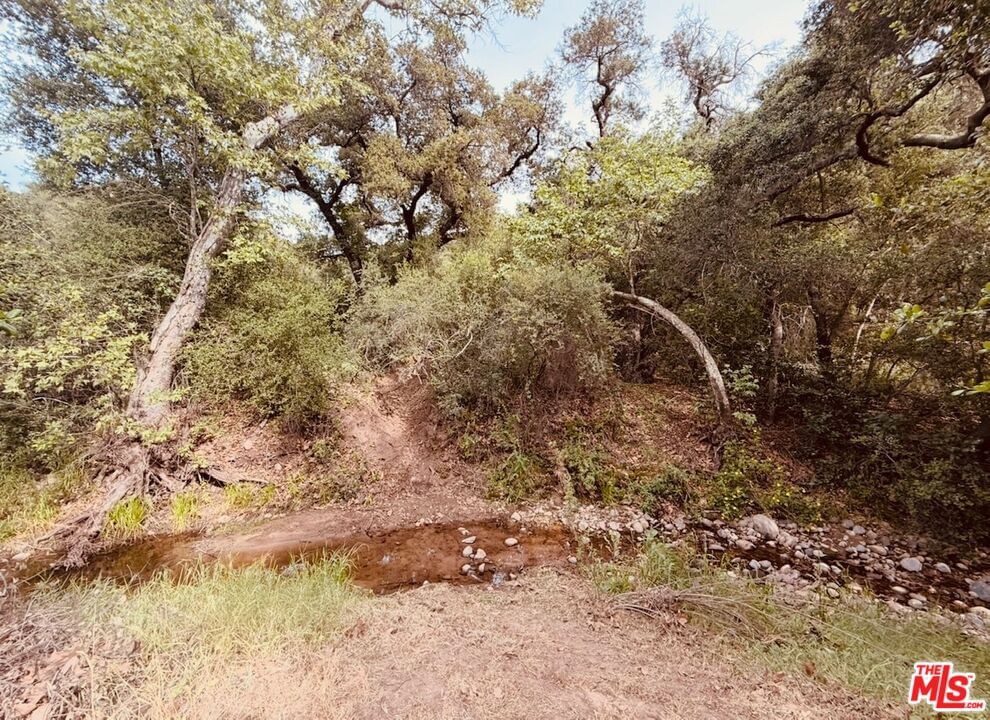 Red Rock photo 47