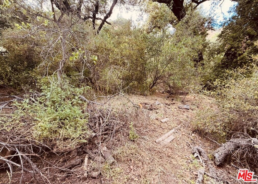 Red Rock photo 52