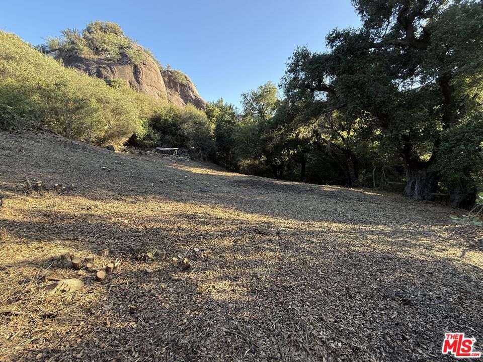 Red Rock photo 13