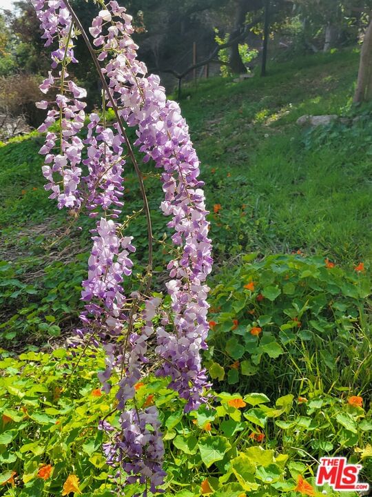 Rivas Canyon photo 14