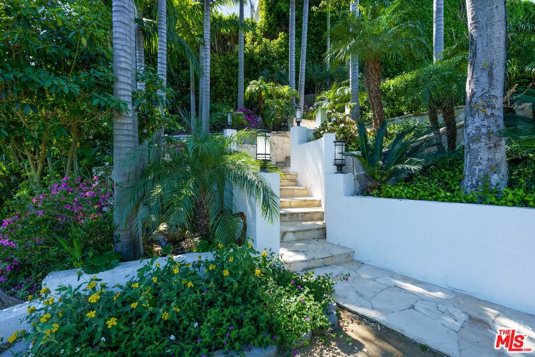 Bel Air photo 40