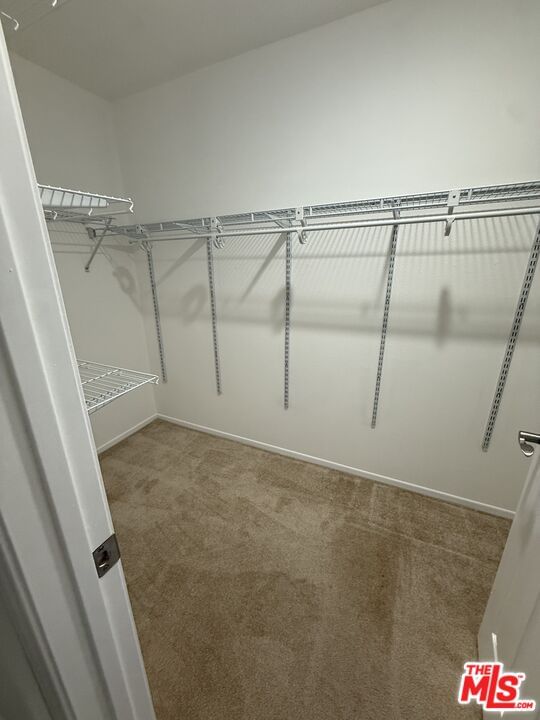 Park Vista photo 15