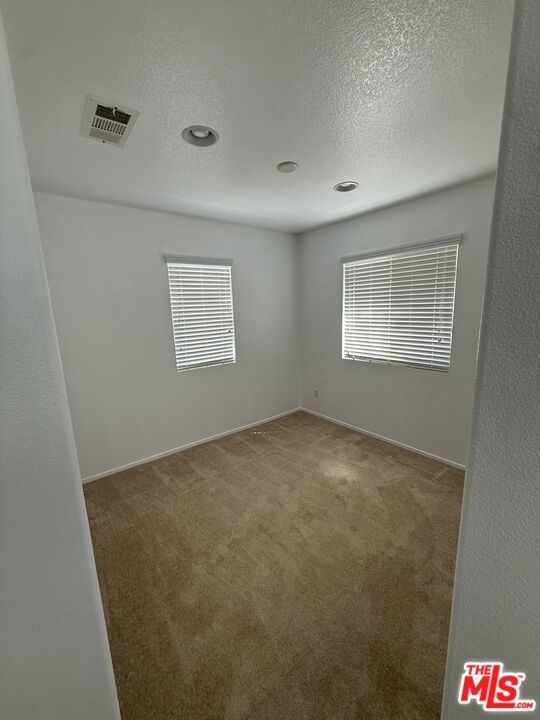 Park Vista photo 17