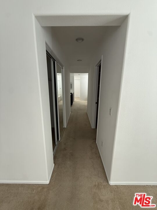 Park Vista photo 19
