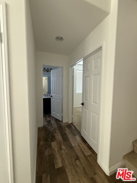 Park Vista photo 21
