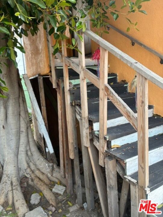 Halm photo 10