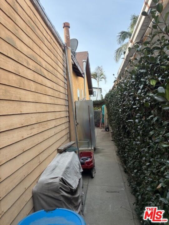 Halm photo 9