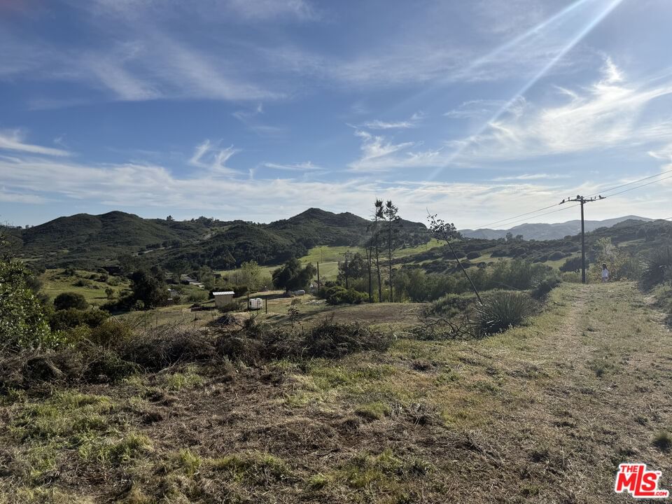 Mulholland photo 10