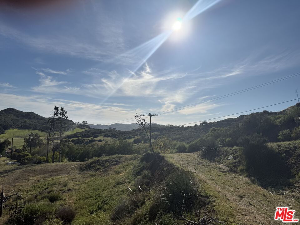 Mulholland photo 11