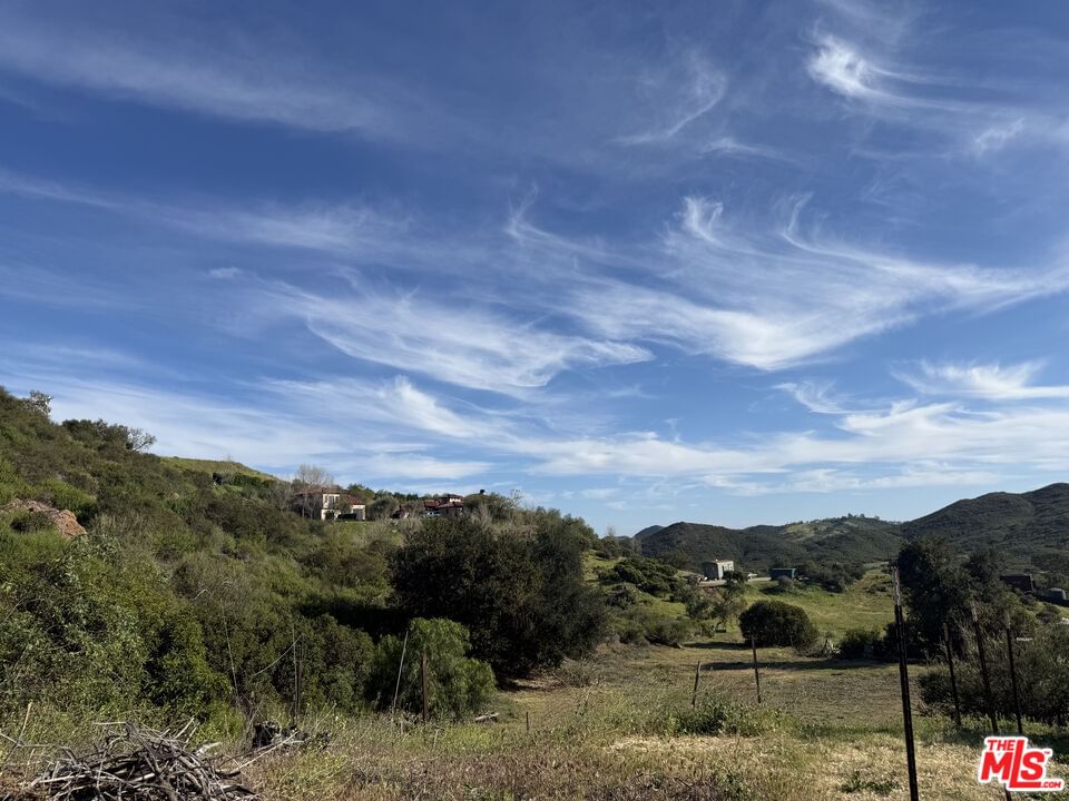 Mulholland photo 5