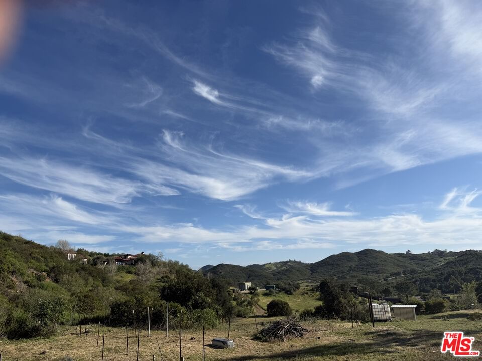 Mulholland photo 8