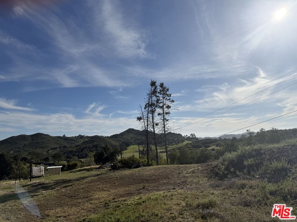 Mulholland photo 9