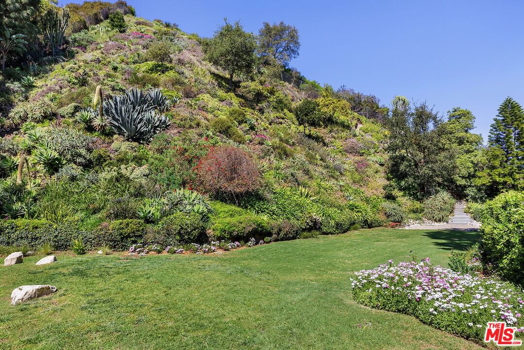 Stone Canyon photo 6