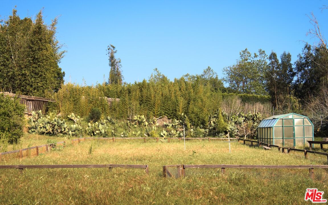 Boniface photo 11