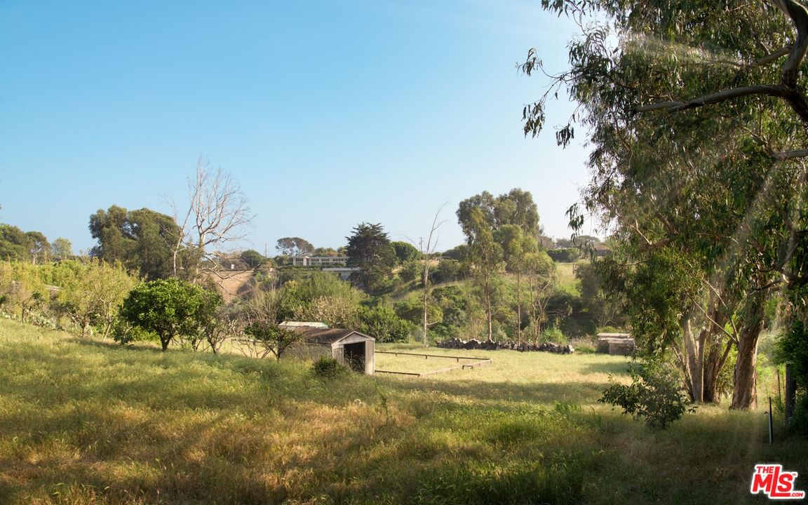Boniface photo 8