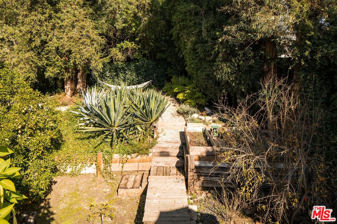 Valley Spring photo 28