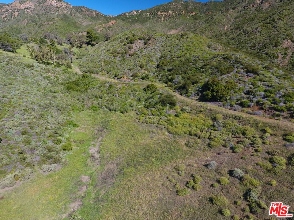 Mulholland Hwy. photo 2