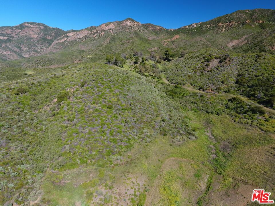 Mulholland Hwy. photo 4