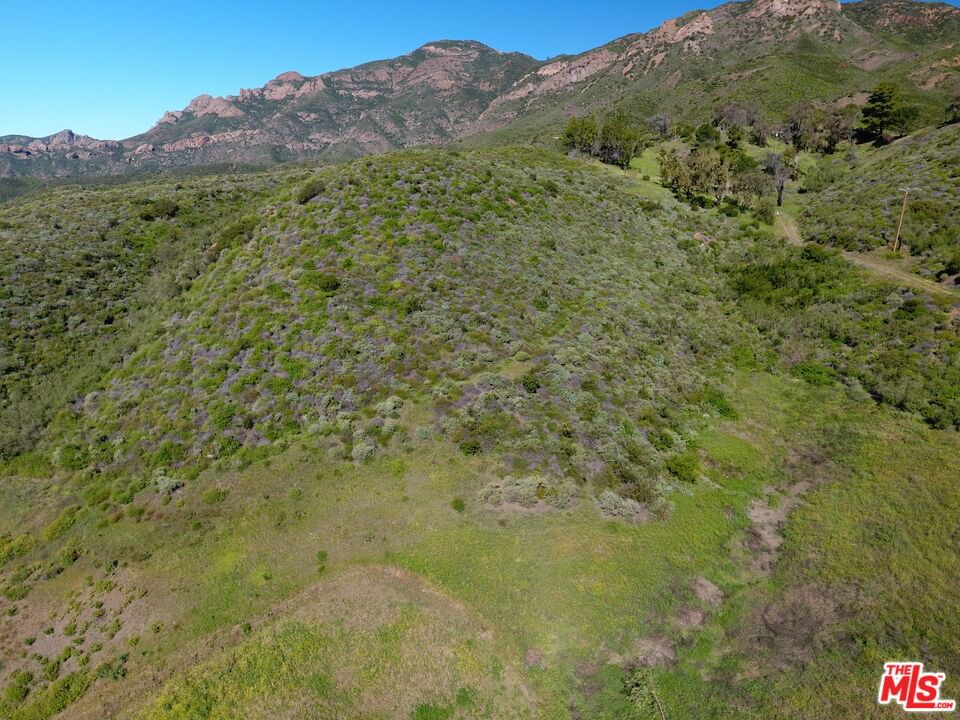 Mulholland Hwy. photo 6
