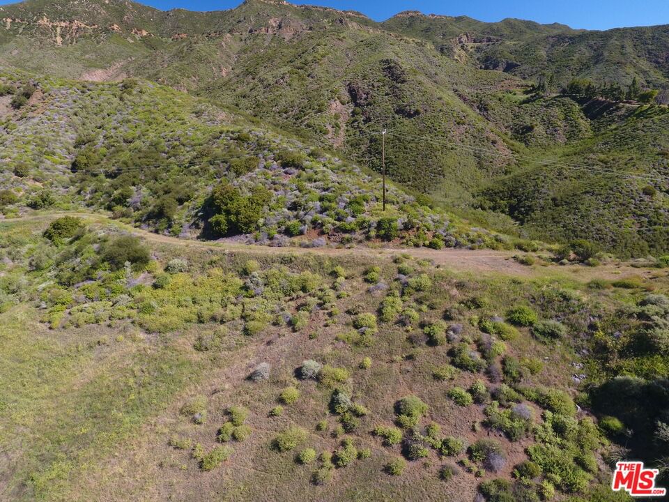 Mulholland Hwy. photo 8