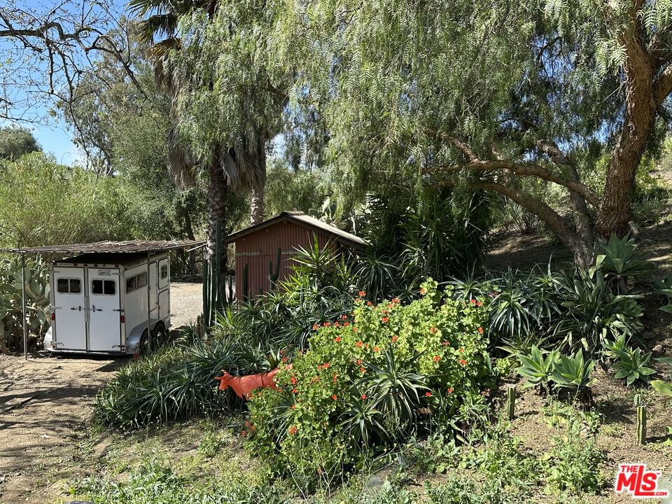 Mulholland photo 11