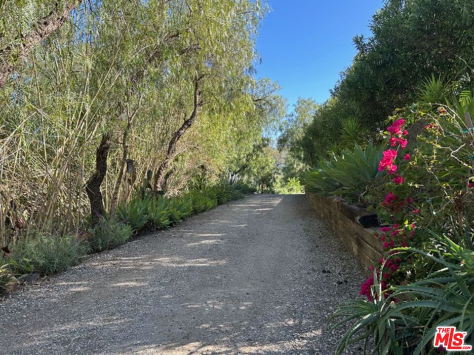 Mulholland photo 13
