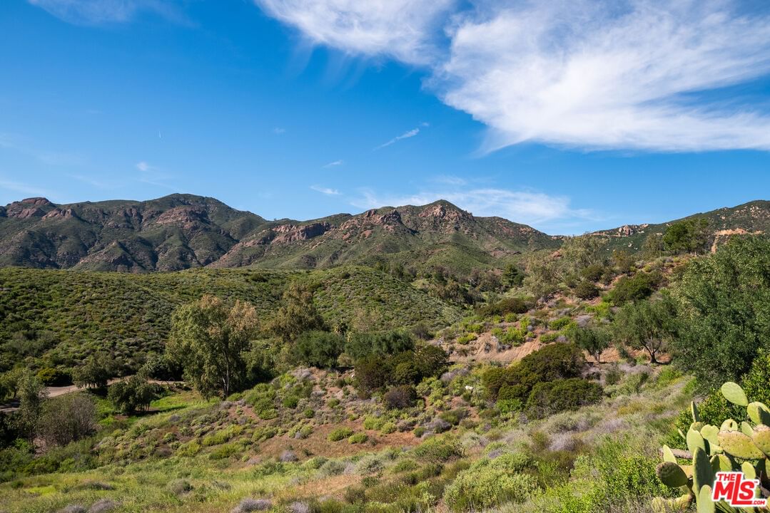 Mulholland photo 19