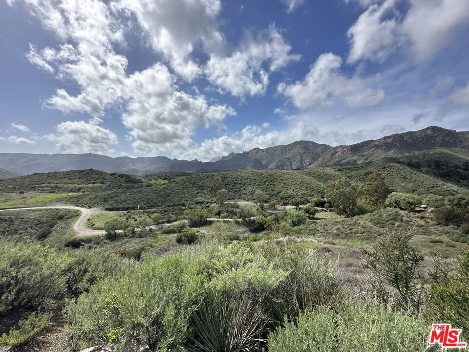 Mulholland photo 21