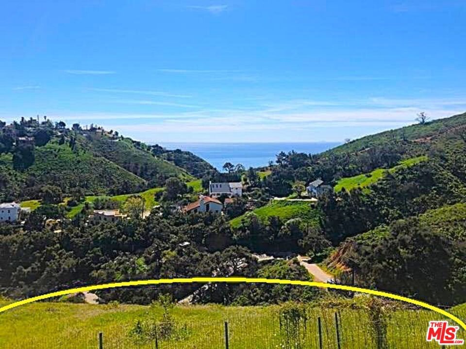 Carrita photo 3