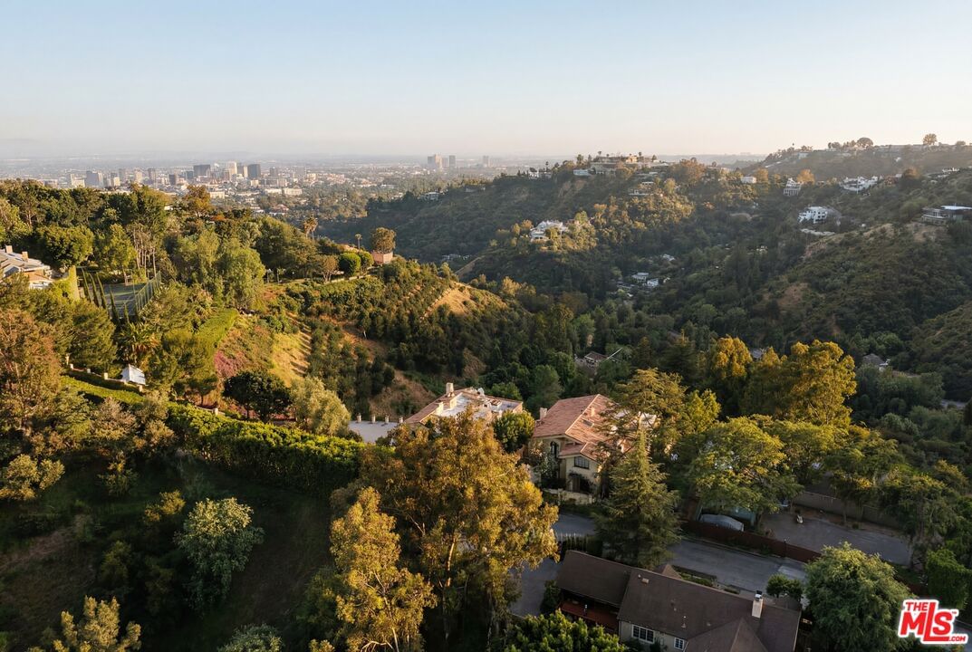 Bel Air photo 7