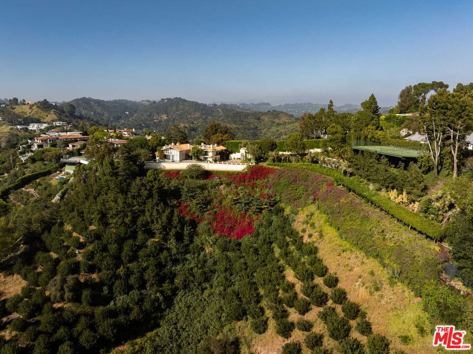 Bel Air photo 12