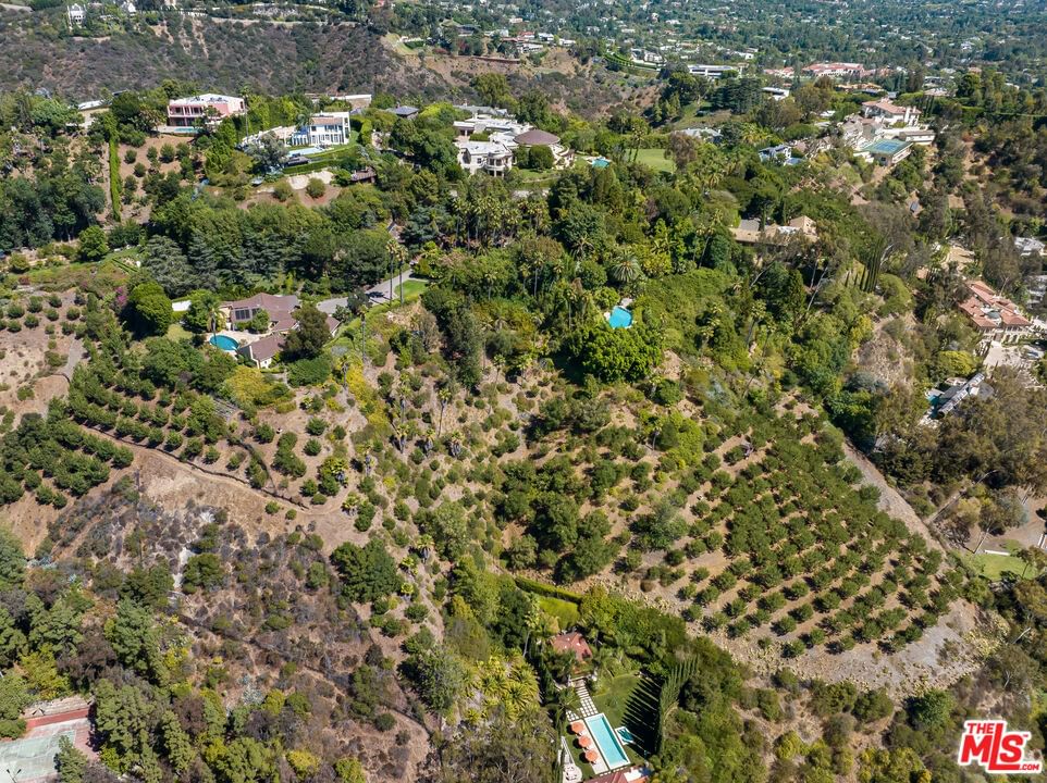 Bel Air photo 6