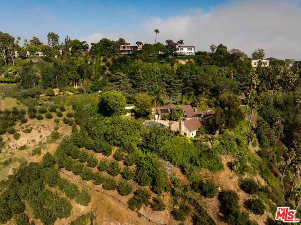 Bel Air photo 9