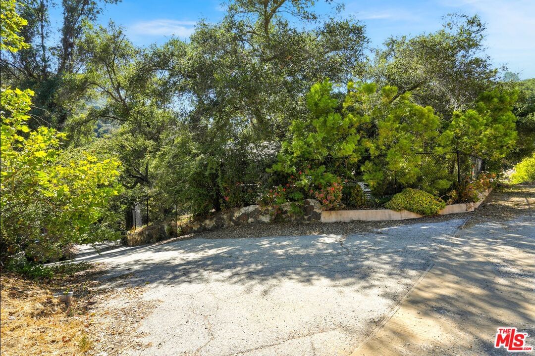 Old Topanga Canyon photo 57