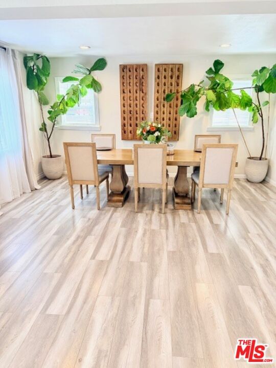 Live Oak photo 15