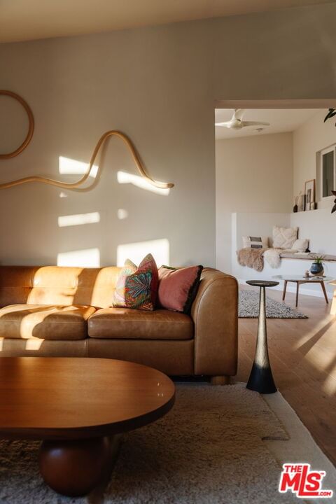 Colina photo 62