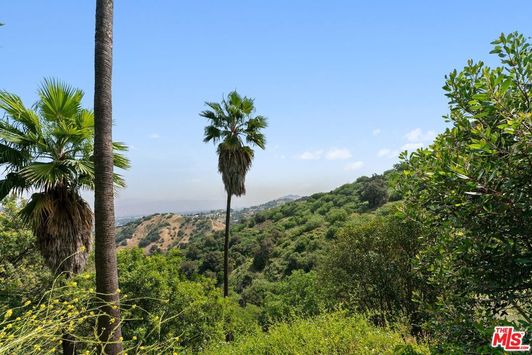 Mulholland photo 14