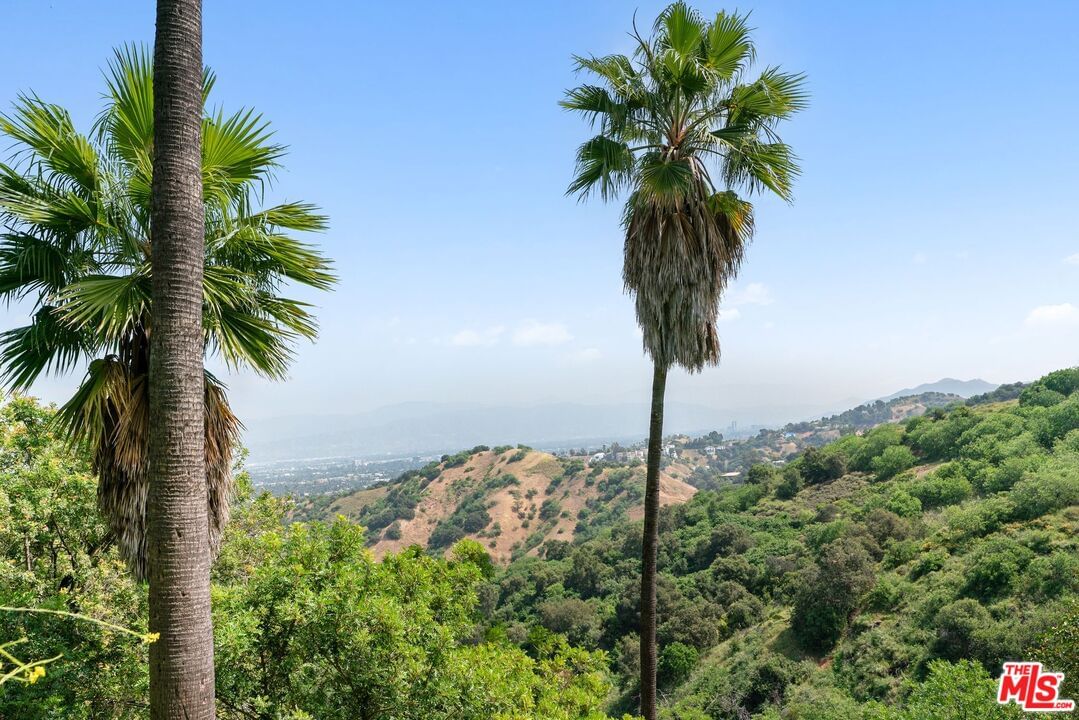 Mulholland photo 15