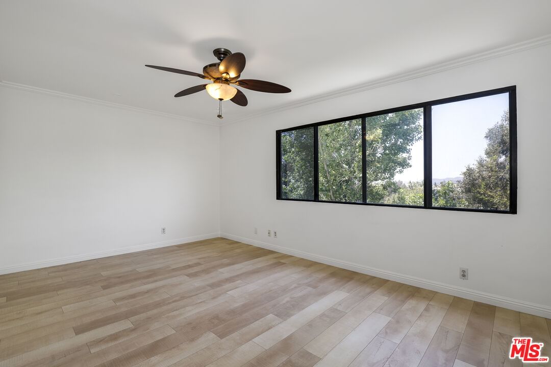 Tampa photo 24