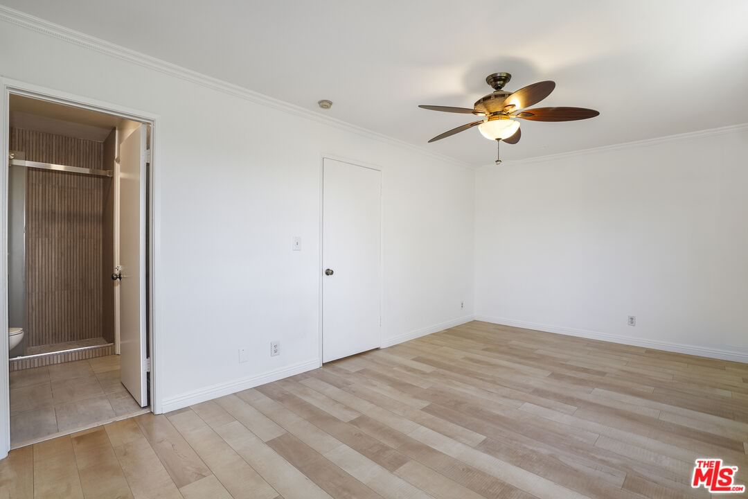 Tampa photo 26