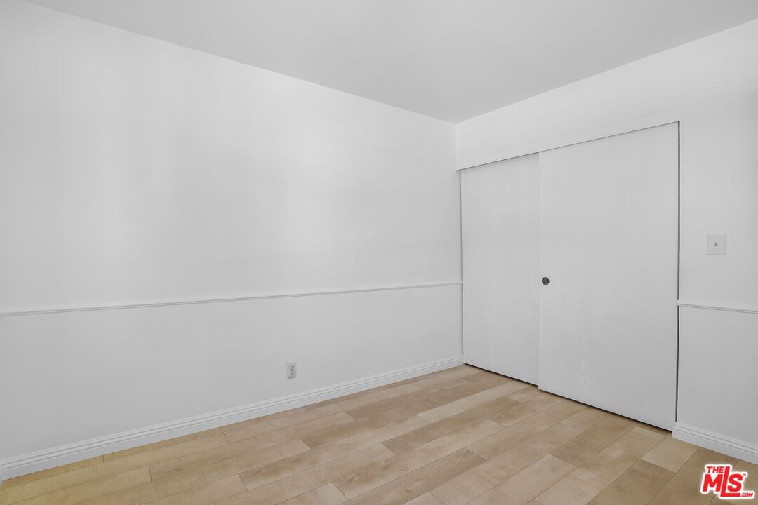 Tampa photo 30