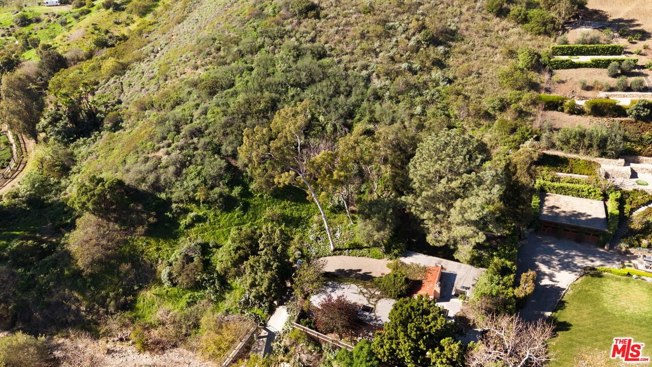 Bonsall photo 14