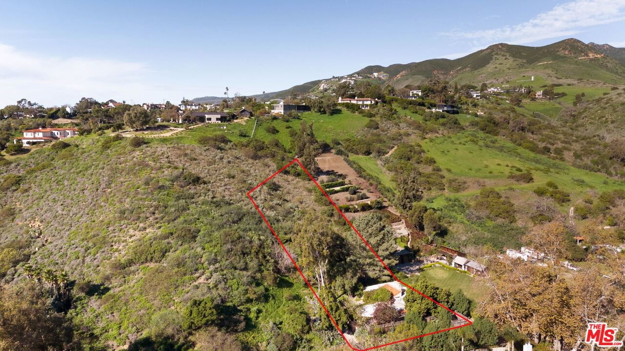 Bonsall photo 15