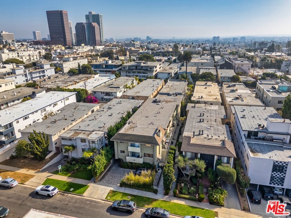 Dorothy photo 14
