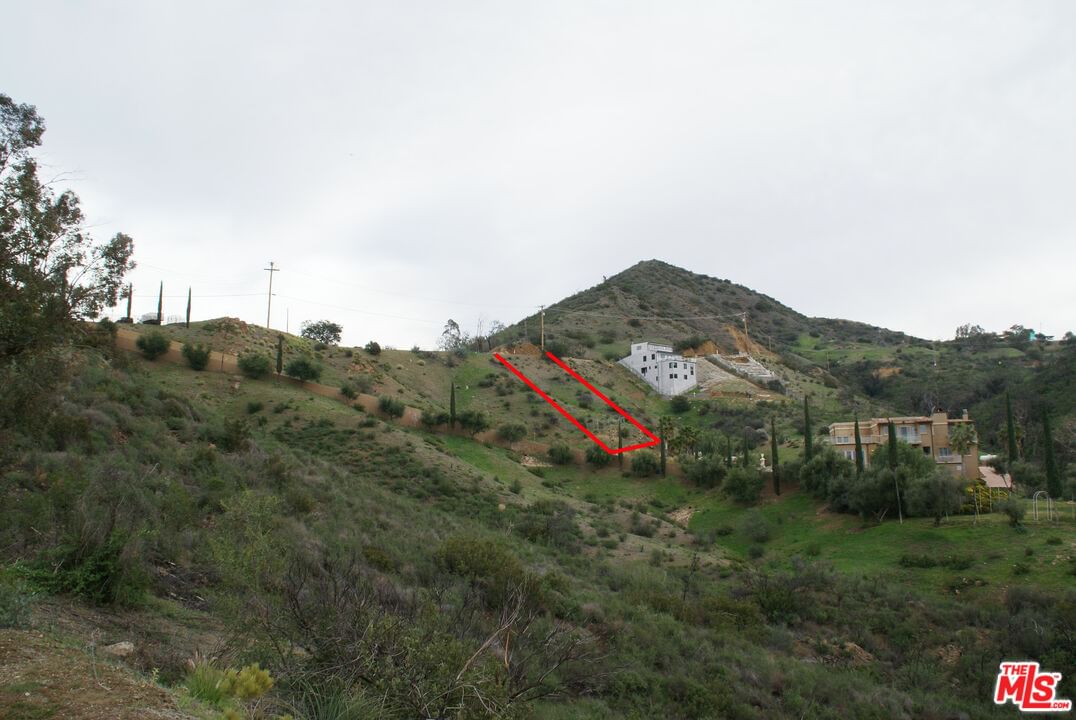 Latigo photo 11