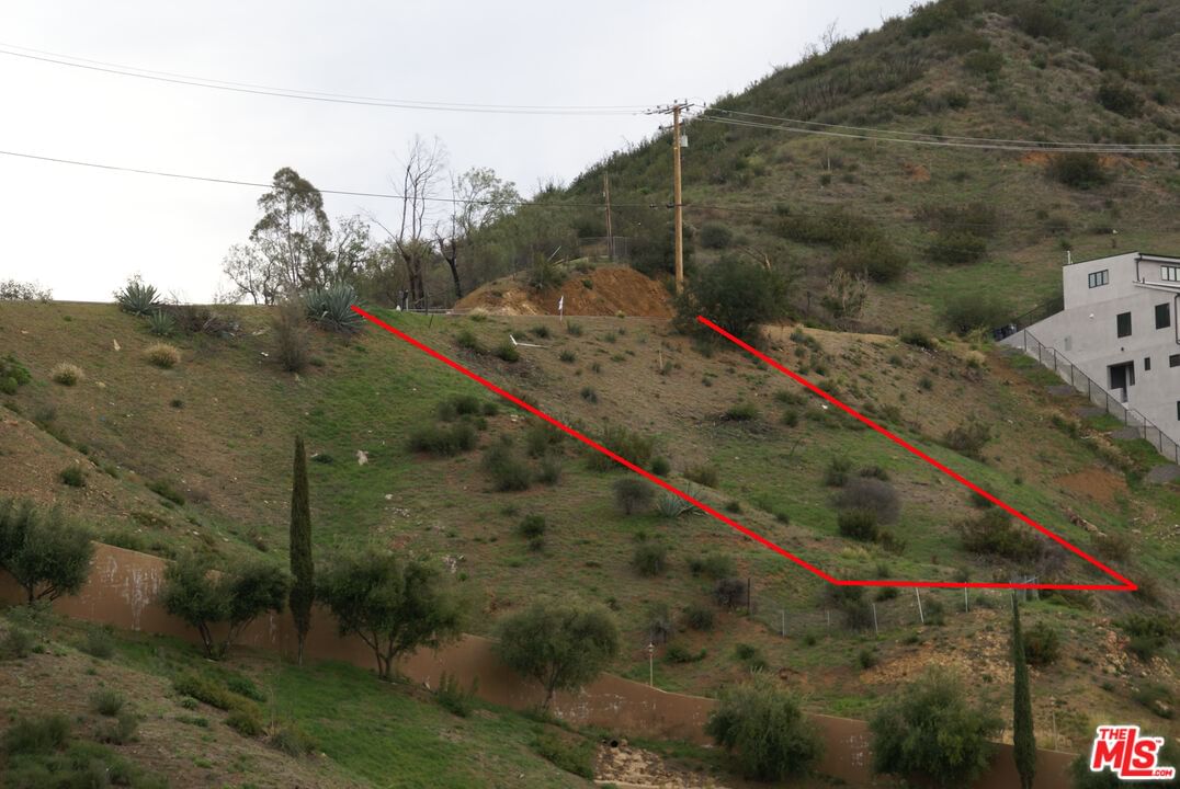 Latigo photo 6