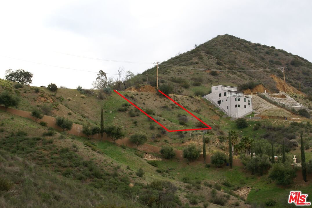 Latigo photo 7
