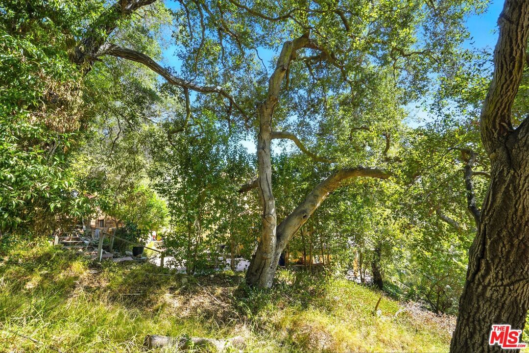 Old Topanga Canyon Rd photo 6