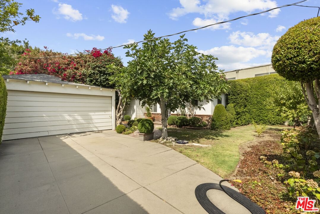 Peach Grove photo 34