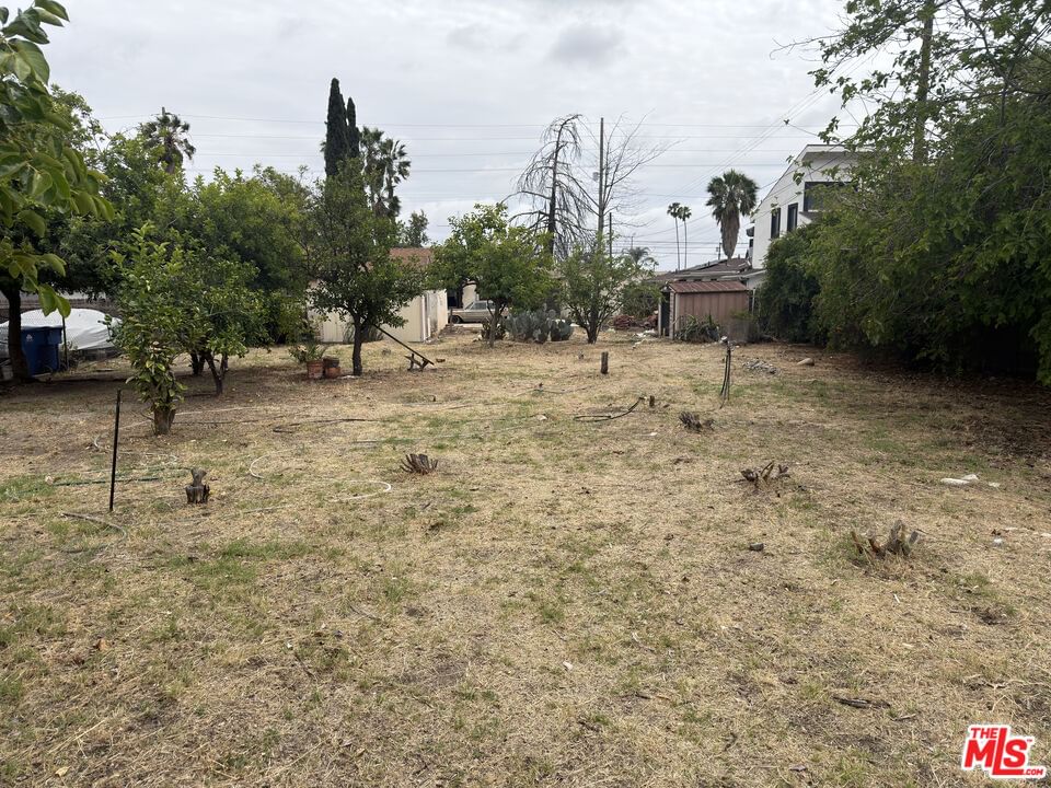 Saticoy photo 14